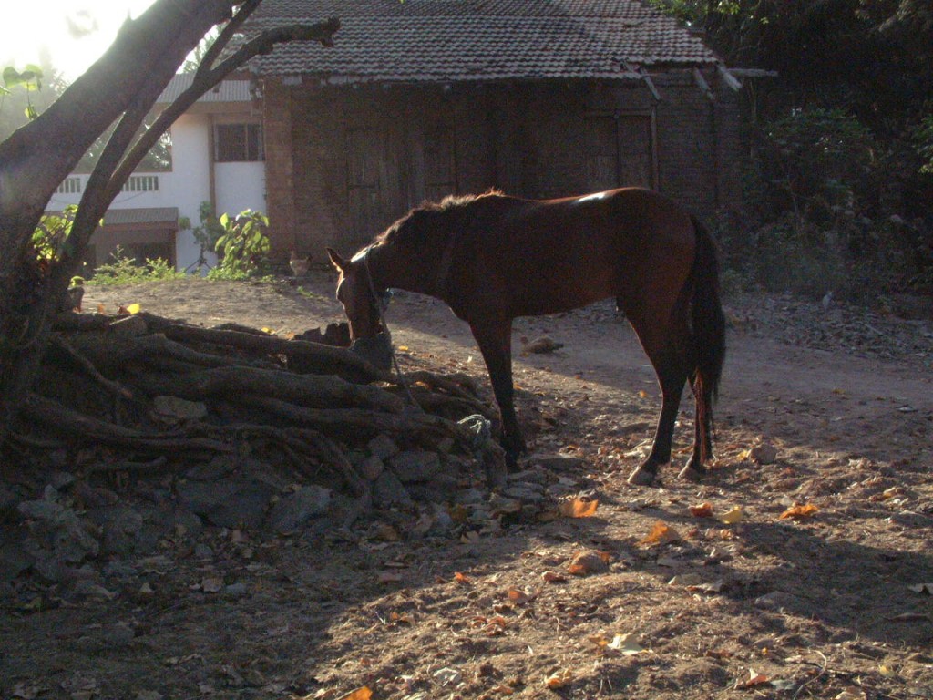 Tarapur, Maharashtra