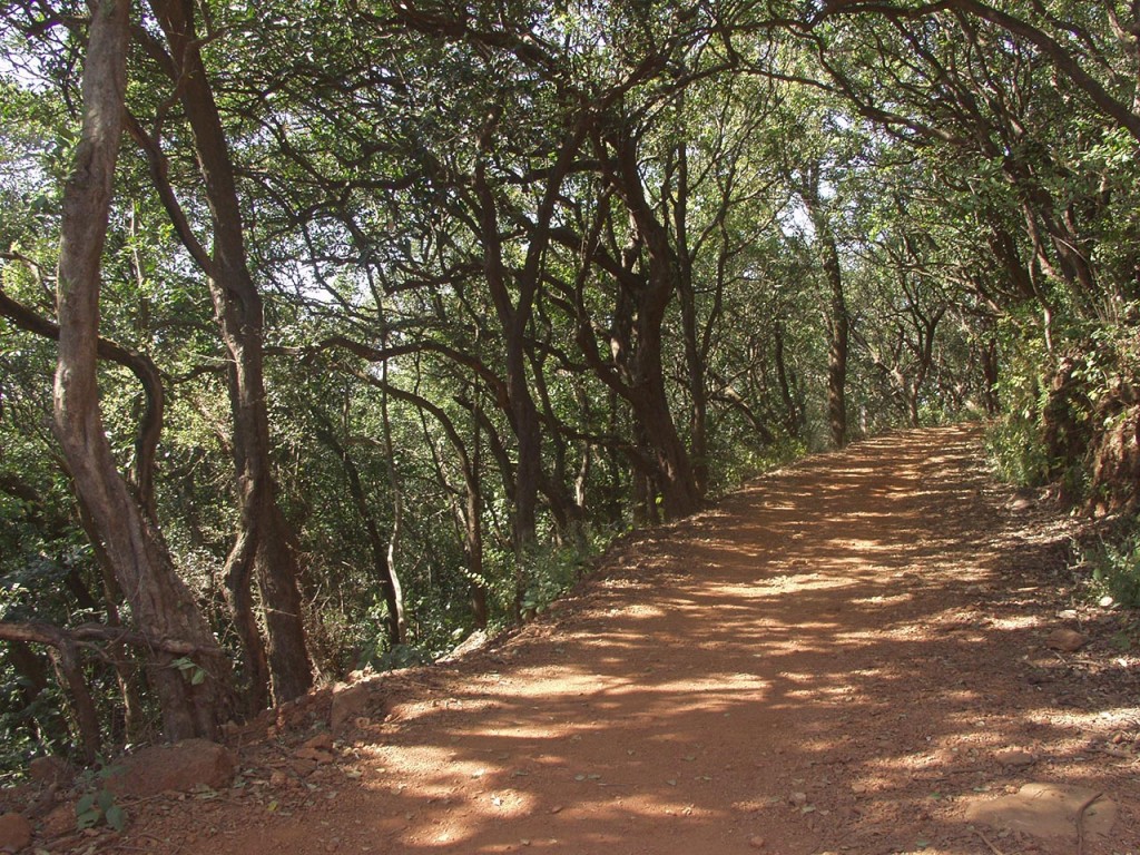 Walking in Matheran