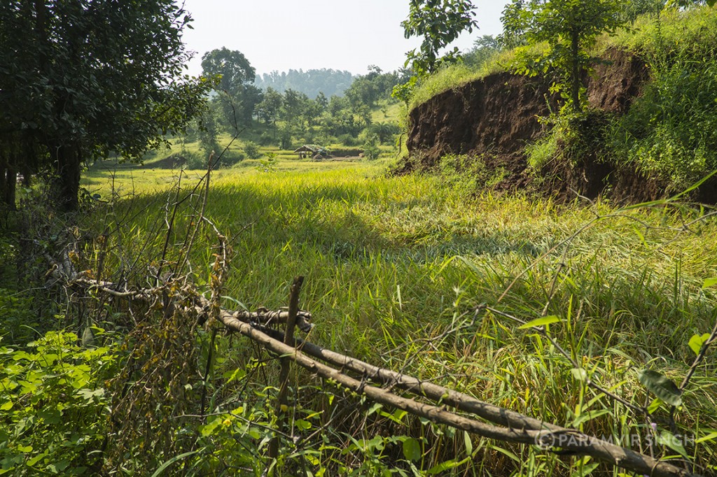 Rural Maharashtra