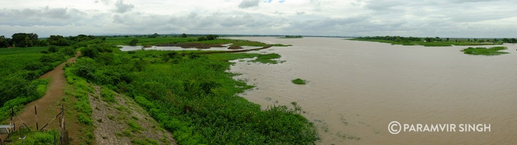 The Lake at Nandur Madhyameshar. In the monsoons.