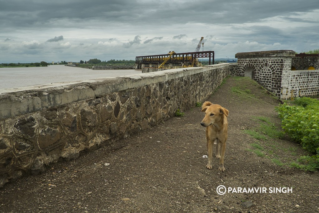 Nandur Madhyameshwar in the monsoons. The metal structure is the dam.