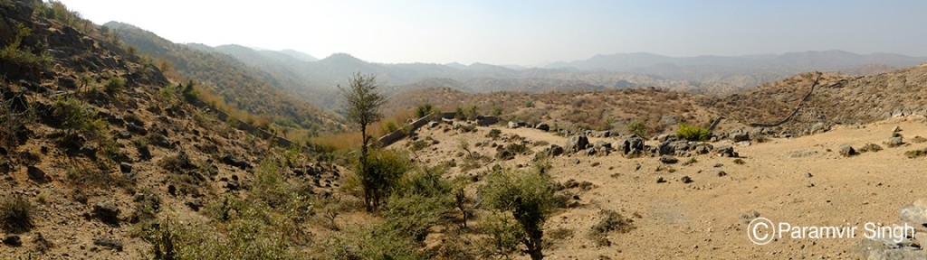 The road to Todgarh Wildlife Sanctuary is full of beautiful views like this.