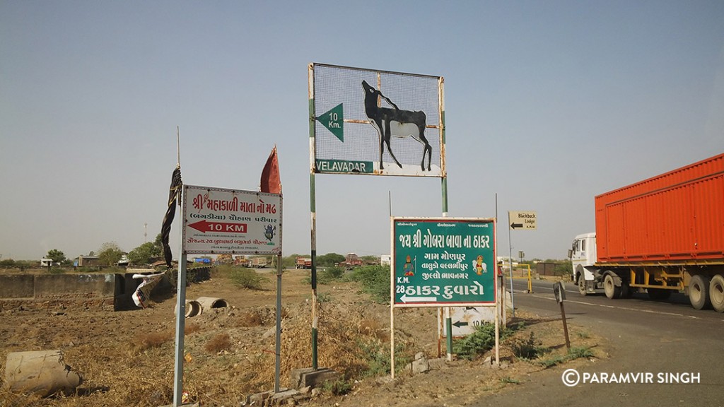 Approaching Blackbuck National Park, Velavadar.