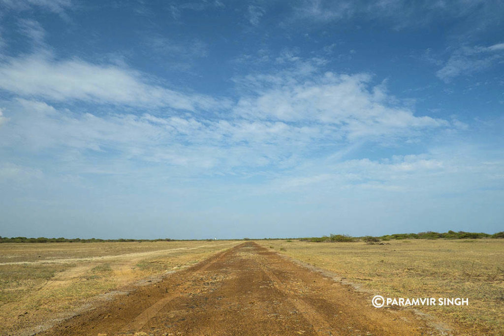 Kodaikarai Wildlife Sanctuary