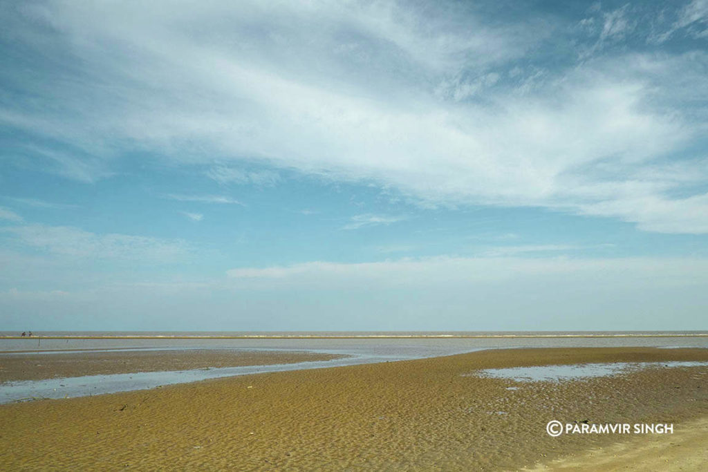 The gorgeous beach at Point Calimere Wildlife Sanctuary