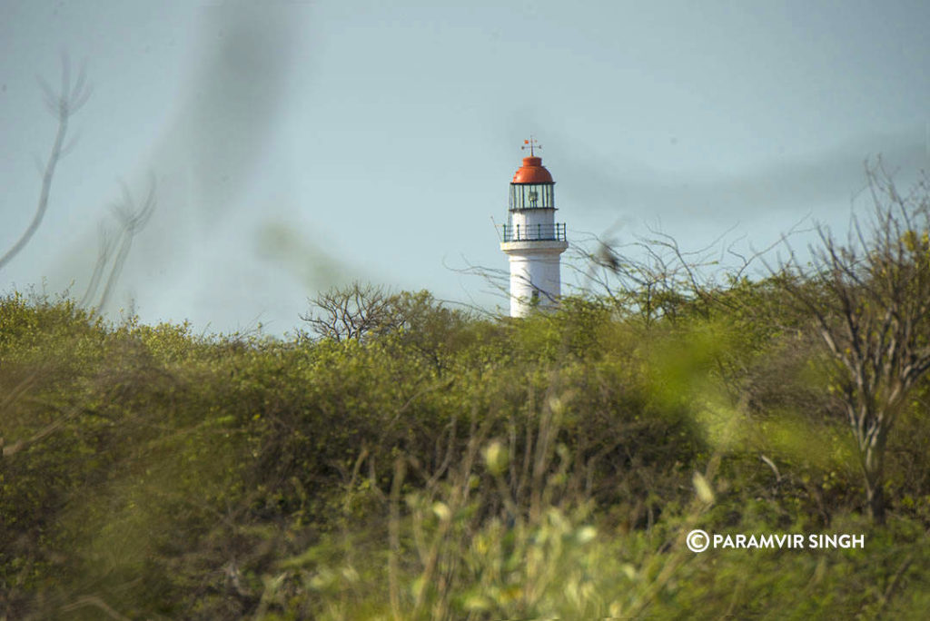 LightHouse at Kodaikarai Wildlife Sanctuary