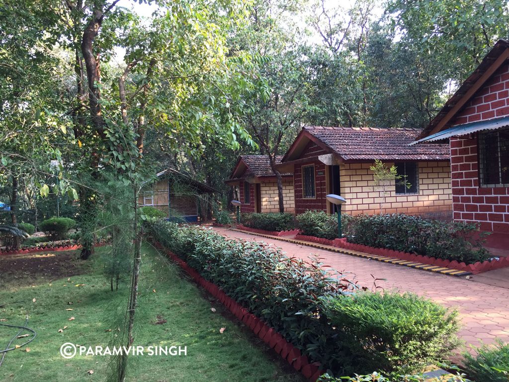 Forest Cottages, Cotigao Wildlife Sanctuary