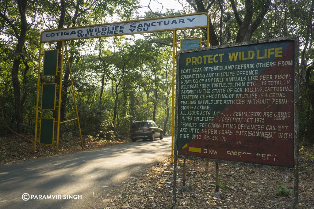 Cotigao Forest Main Gate