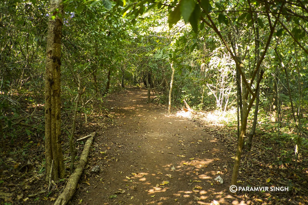 Walking Trail in Cotigaon