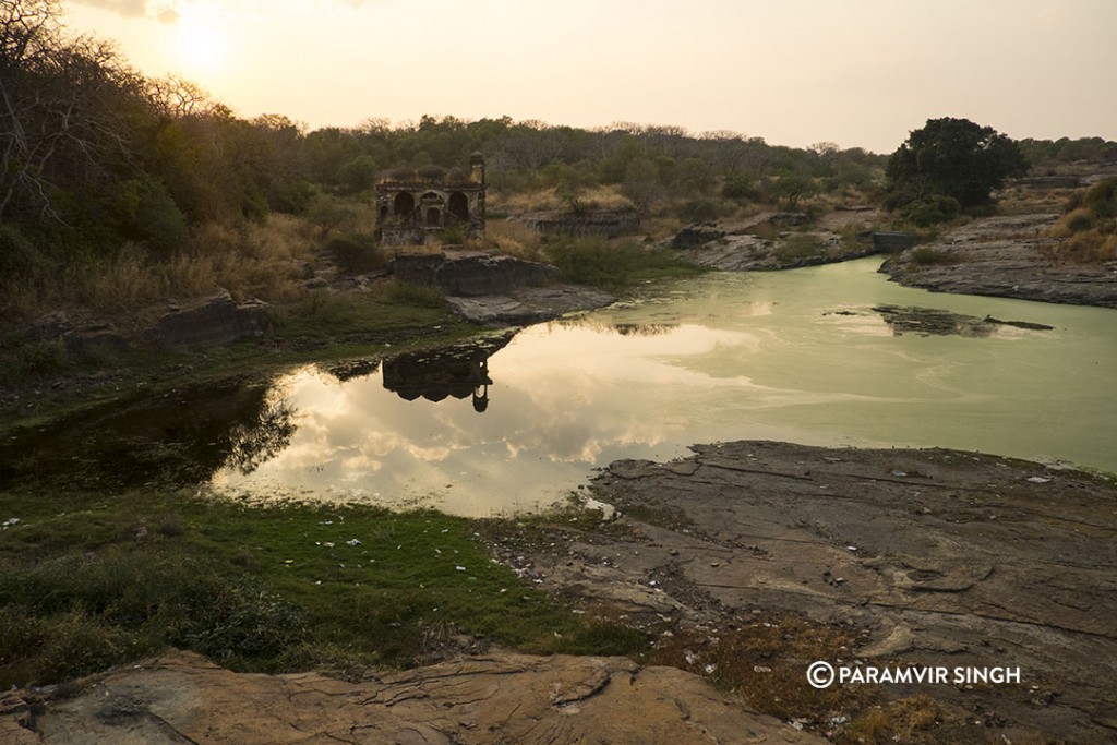 Ranthambhore Fort