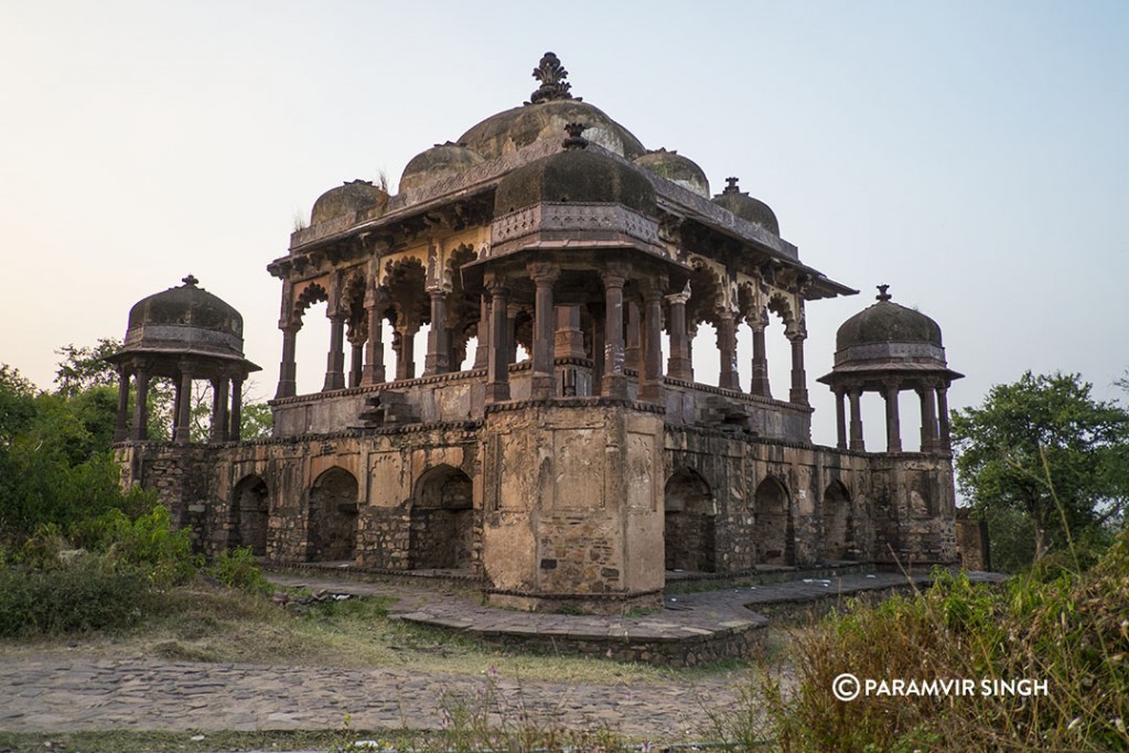 Pillar Chatri Ranthambhore Fort