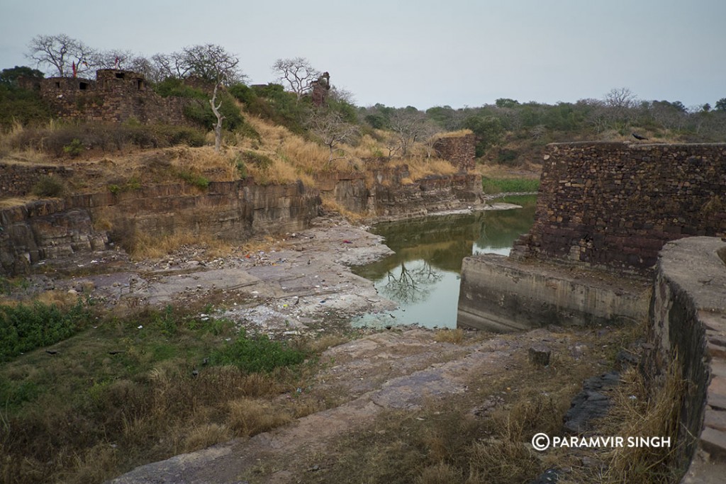 Ranthambhore Fort