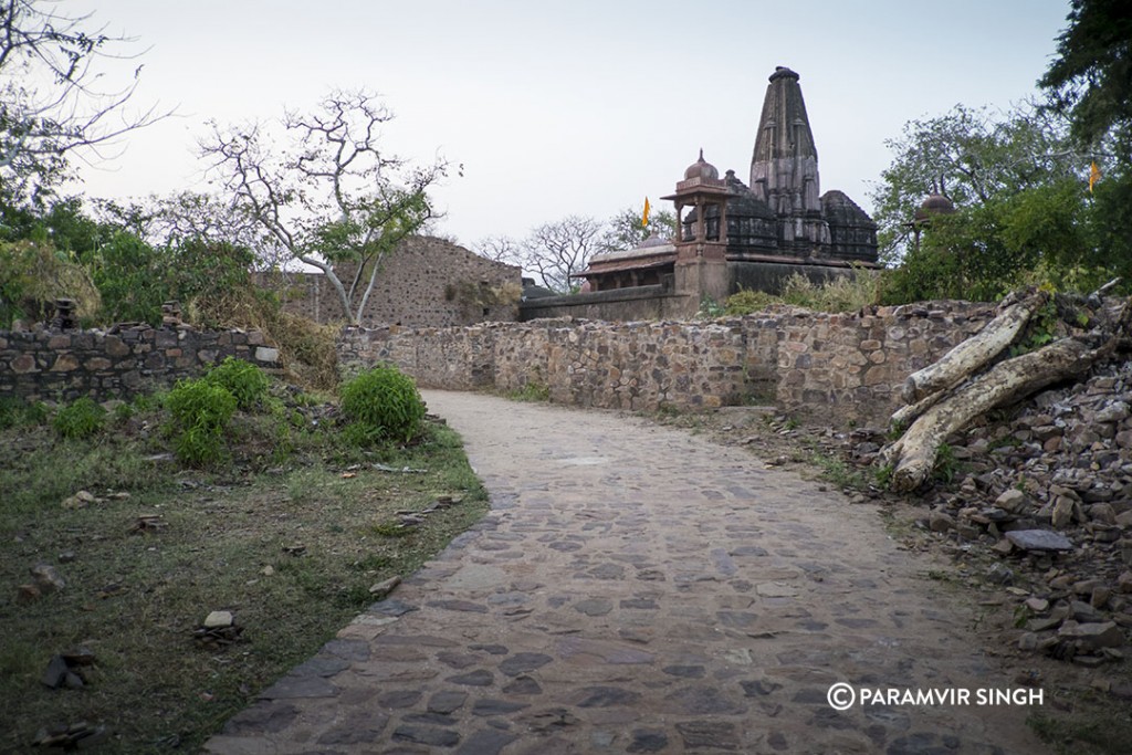 Ranthambhore Fort Digambar Jain Temple.