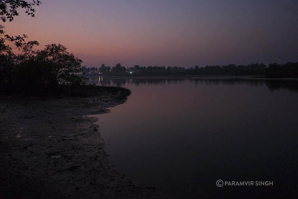 Talpona River