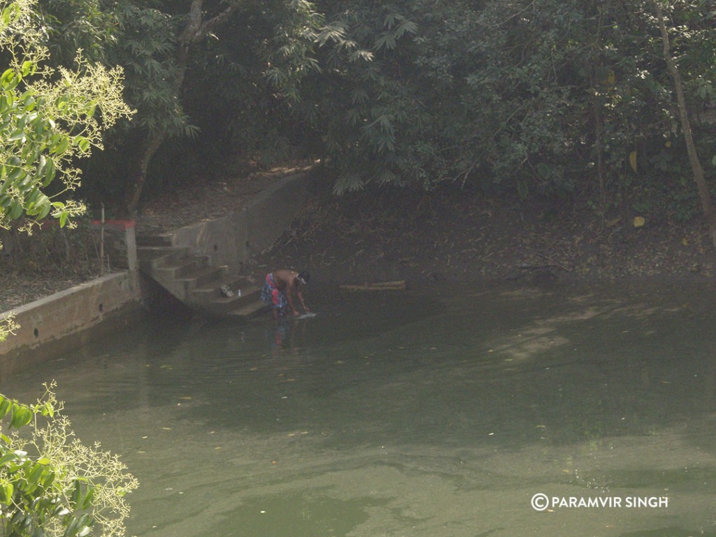 Pond in Kolkata.