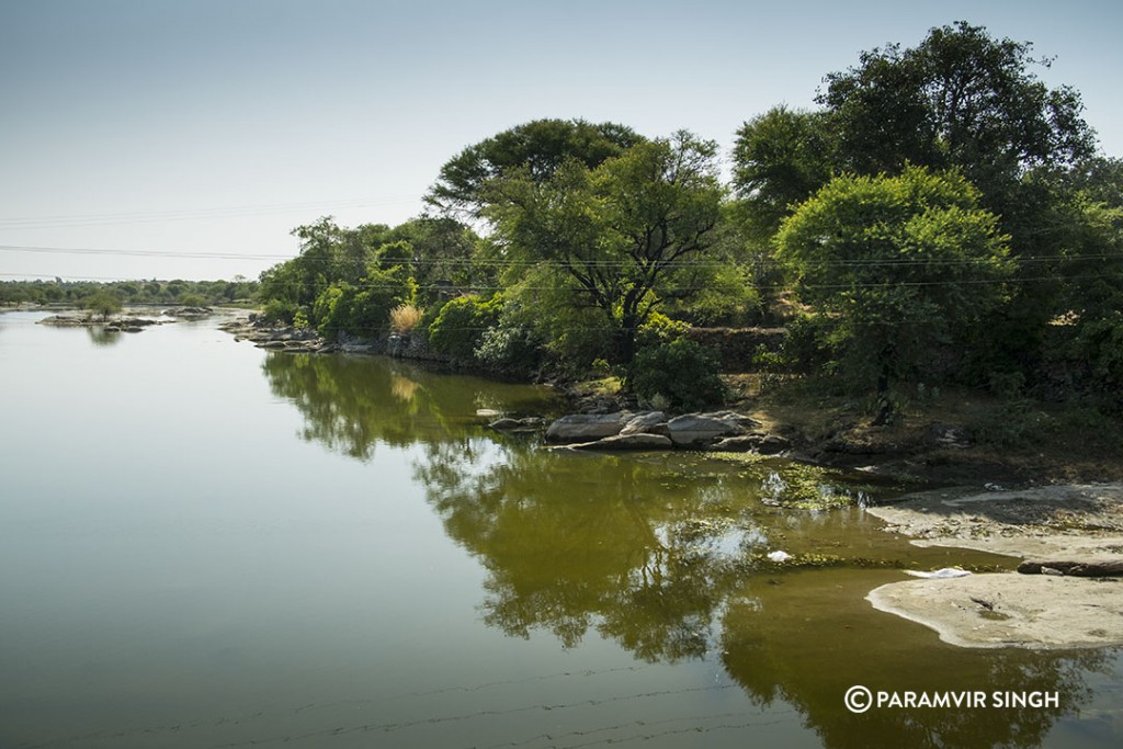 Riverside, Rajasthan.