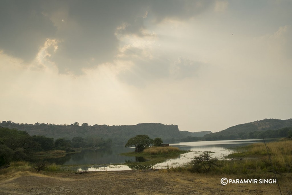 Padam Talao at Ranthambhore National Park