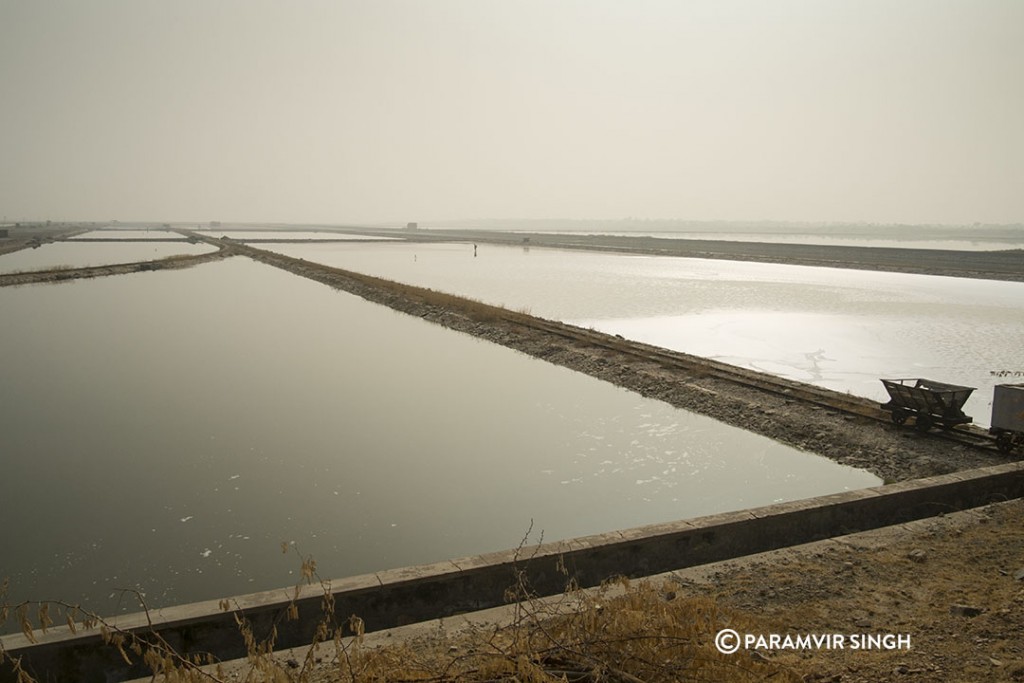 Sambar Lake