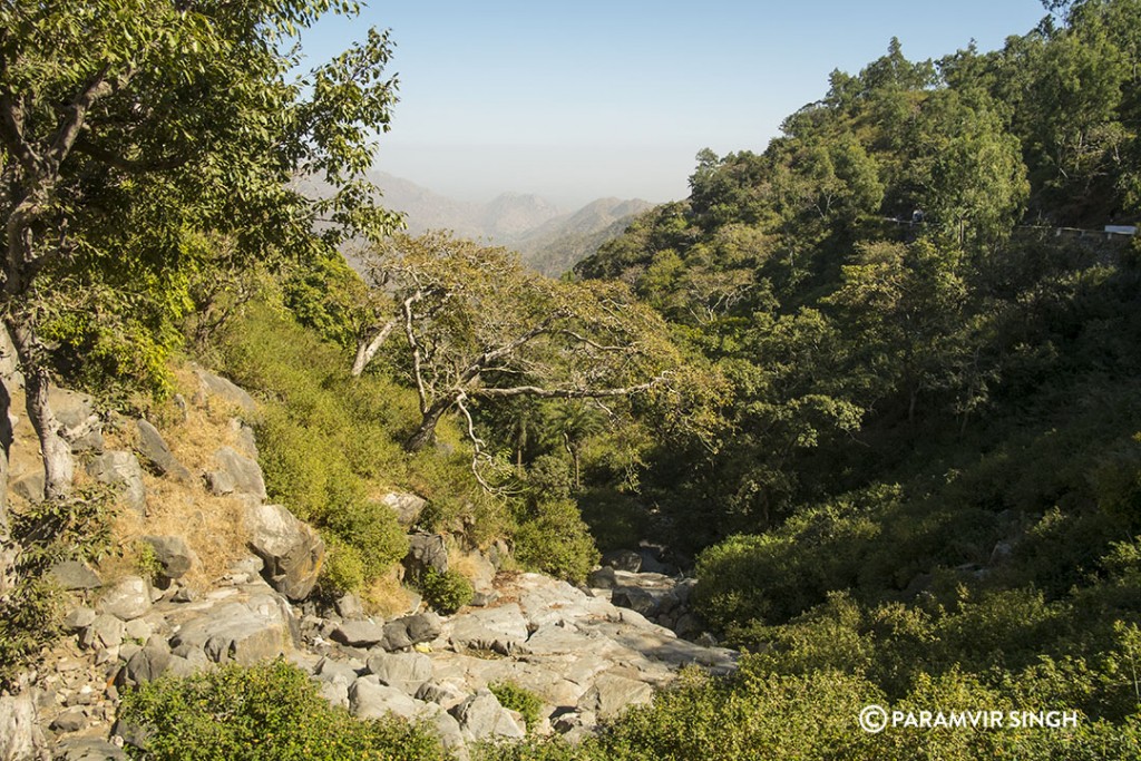 The Drive up Mount Abu