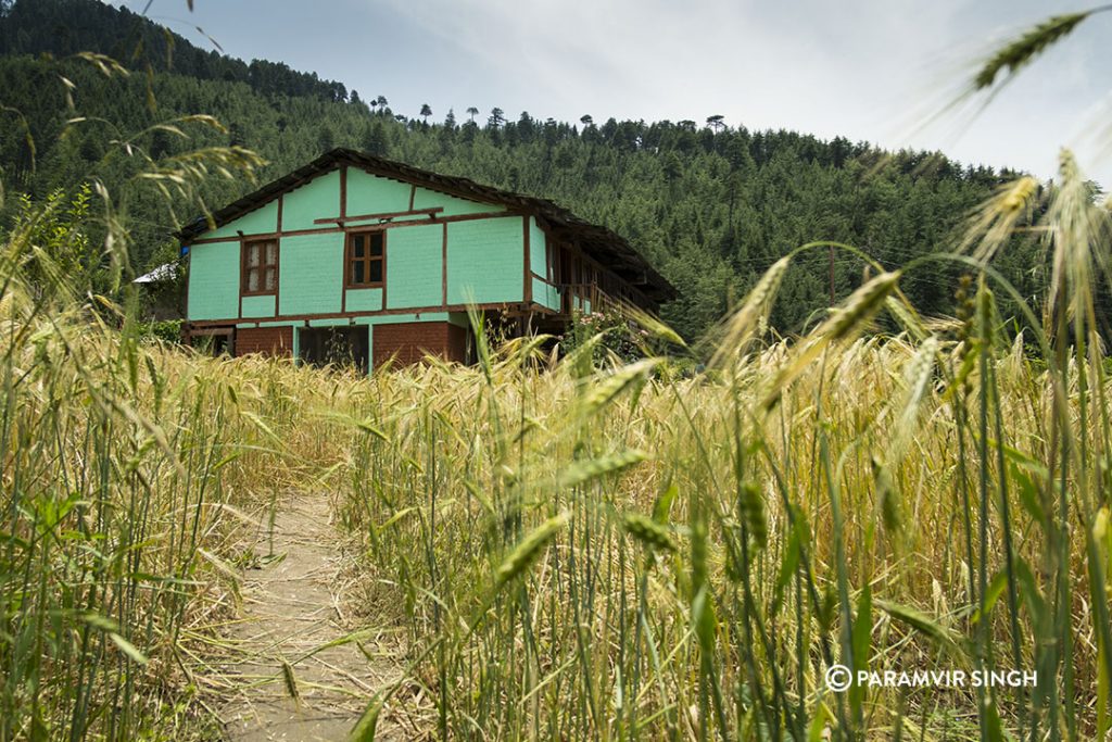 Nashala House and farm