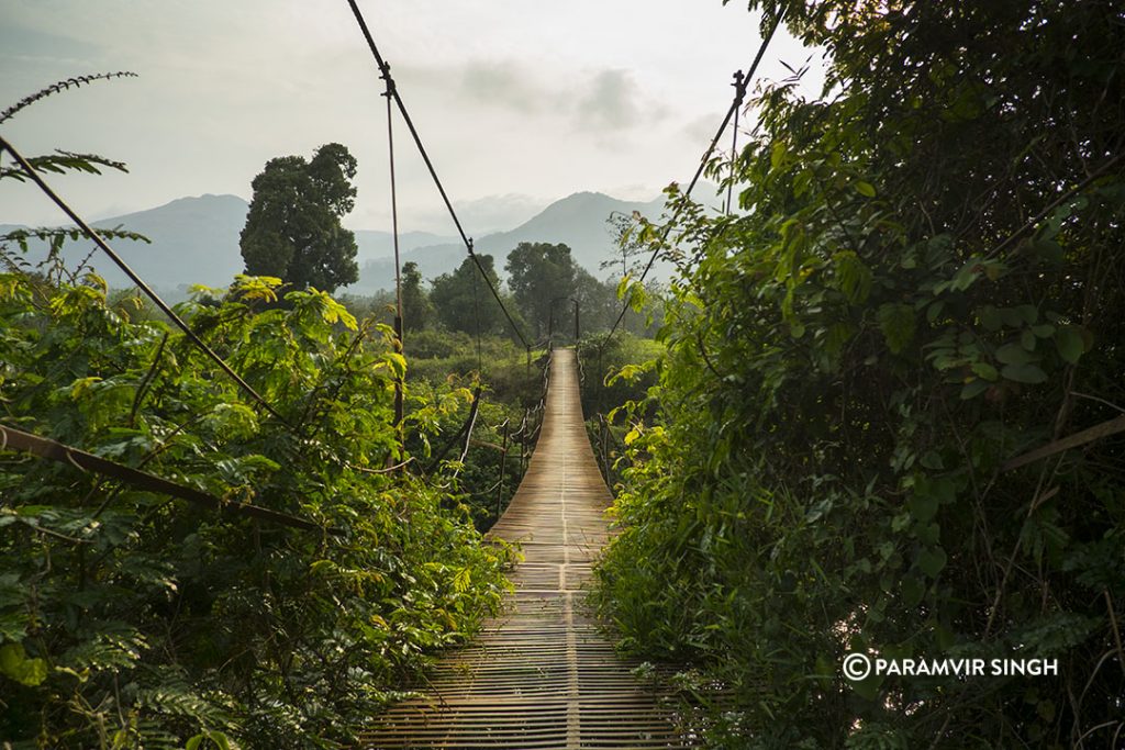 hanging bridge