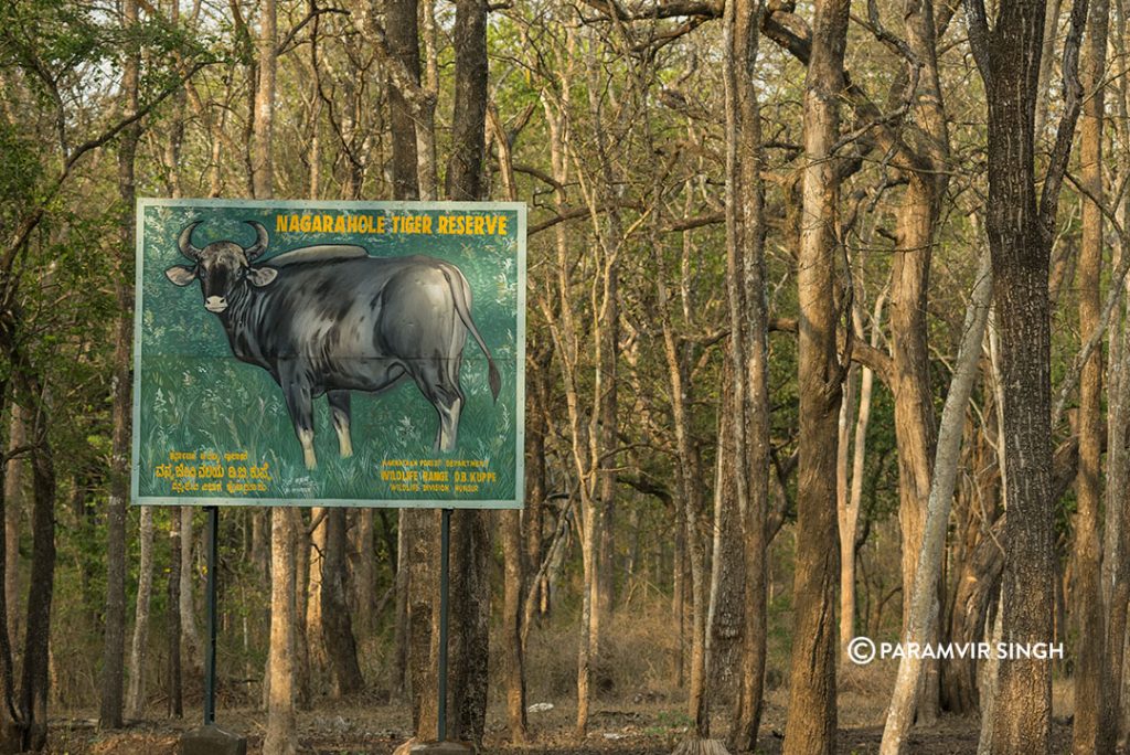 Nagarhole Tiger Reserve