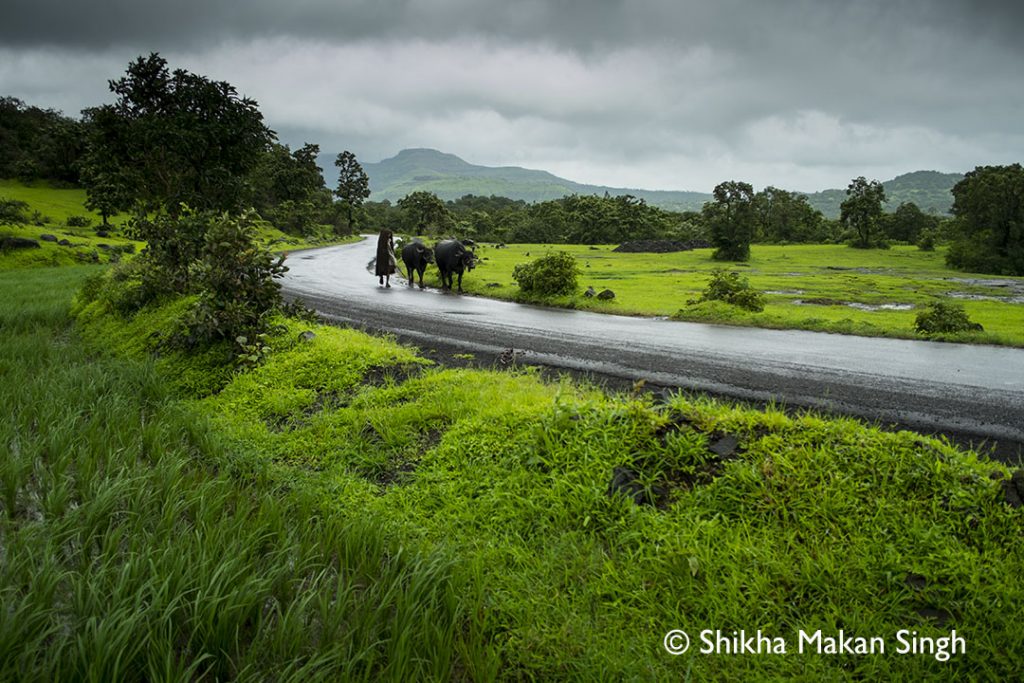 maharashtra_countryside