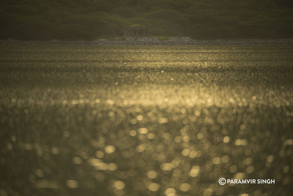 Lonar Lake