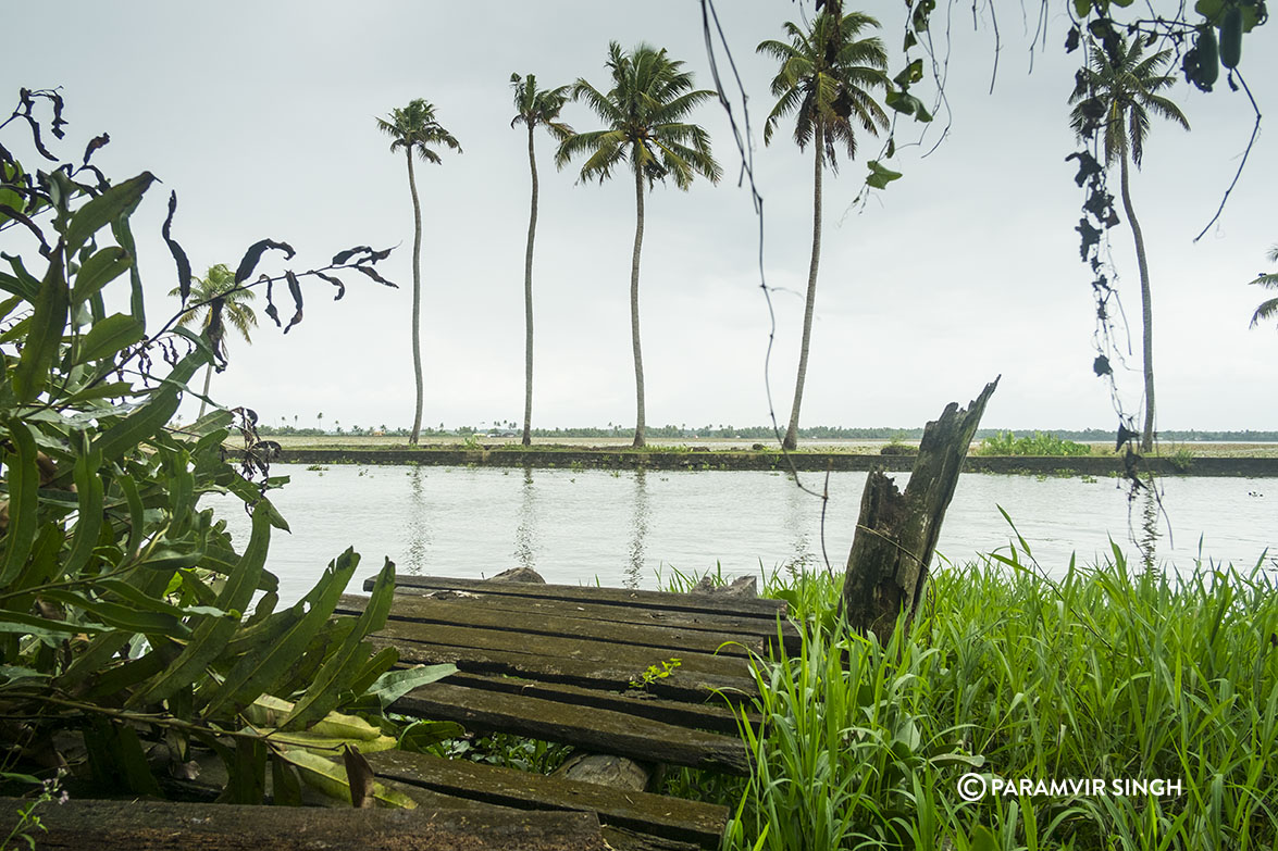 Alappuzha