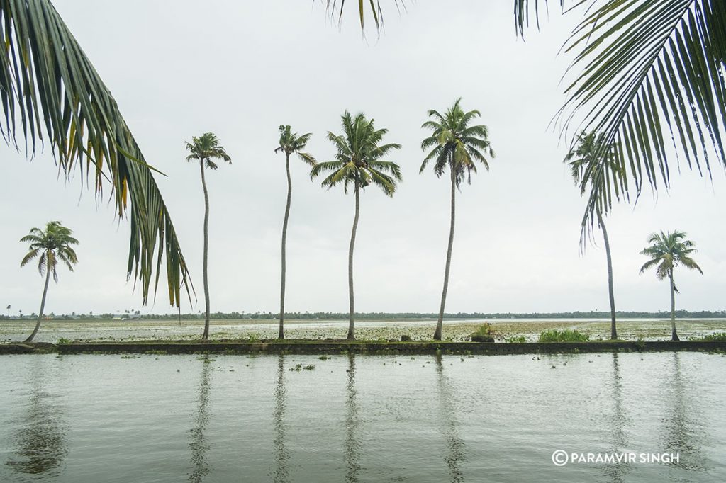 Alleppey also known as Alappuzha