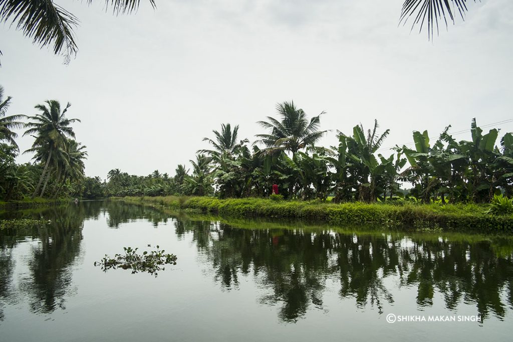 Alleppey also known as Alappuzha