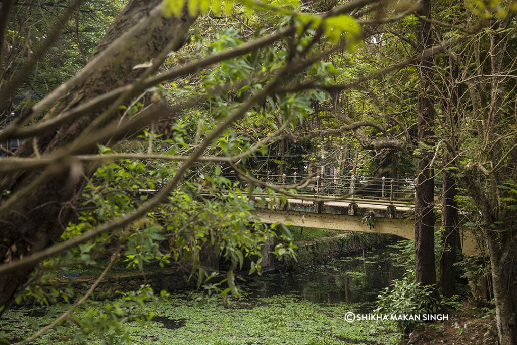 Alleppey Alappuzha