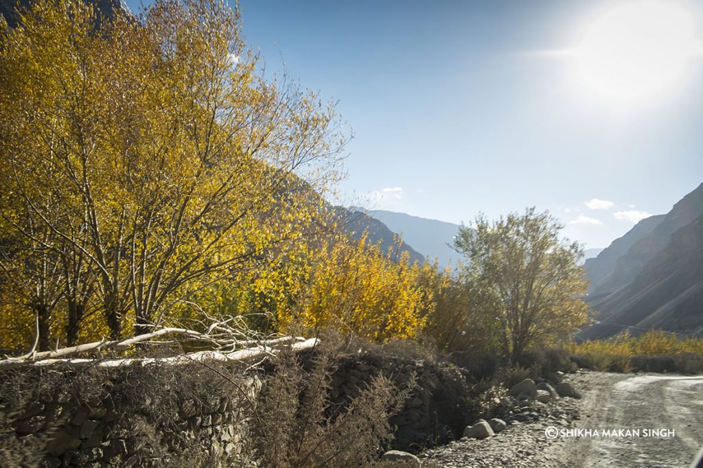 Road to Kaza, Himachal Pradesh