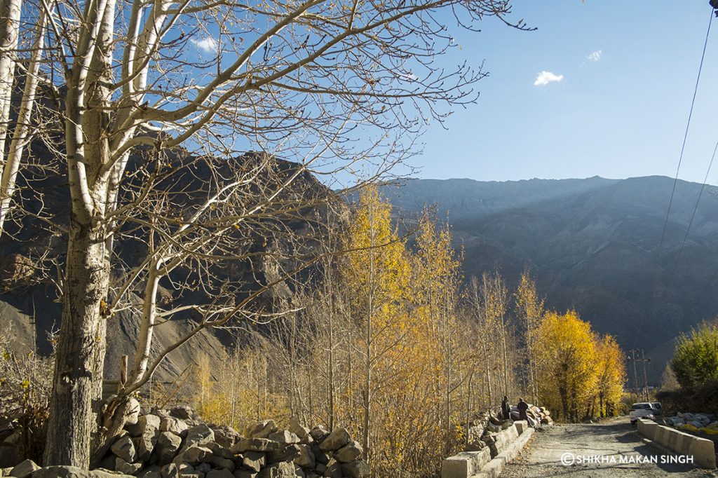 Road to Kaza, Himachal Pradesh