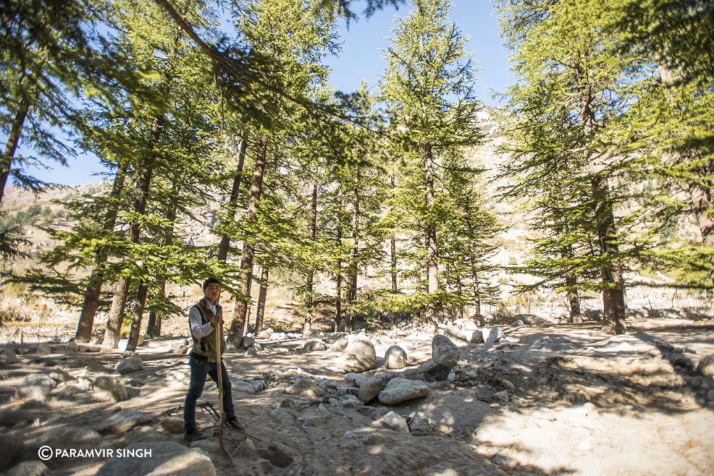 Sangla Valley guide.