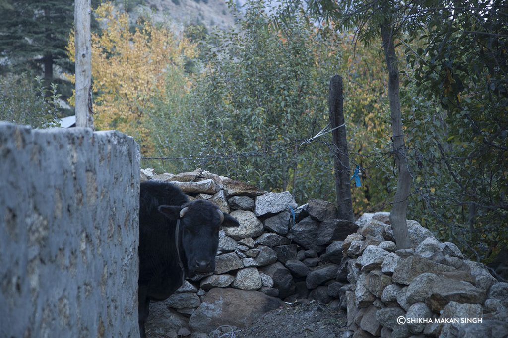 Sangla Valley village