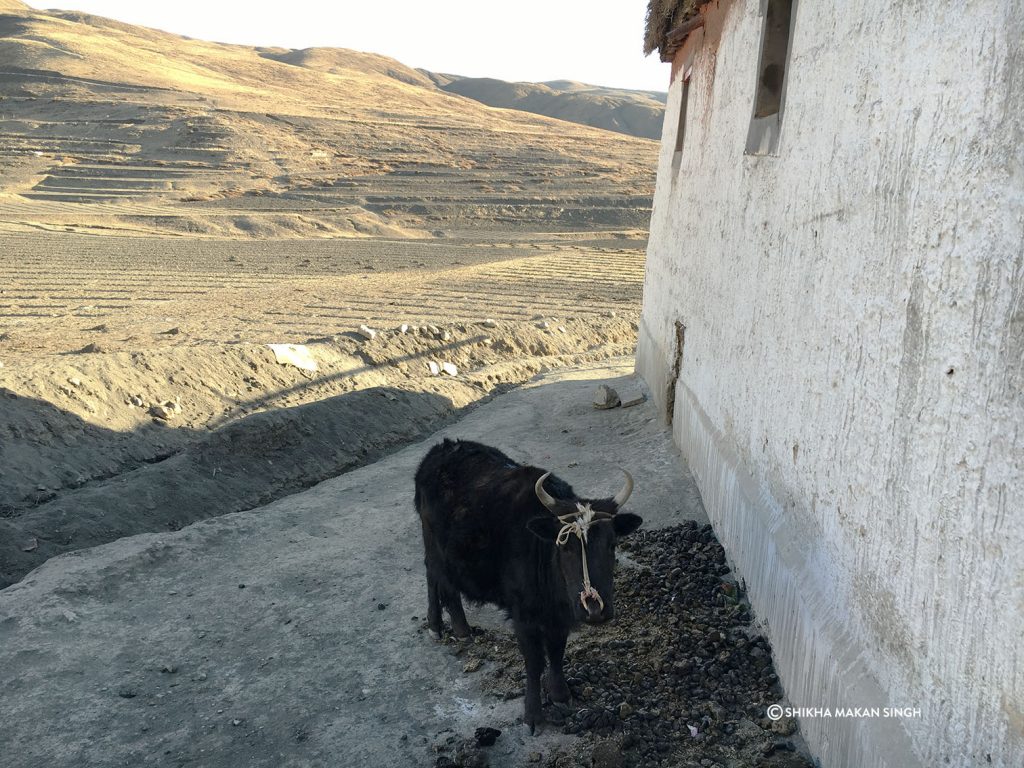 Spiti Valley, India