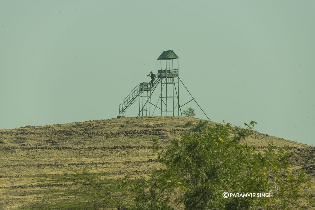 Mayureshwar Wildlife Sanctuary