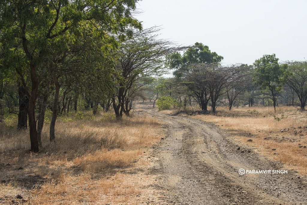 Mayureshwar Wildlife Sanctuary