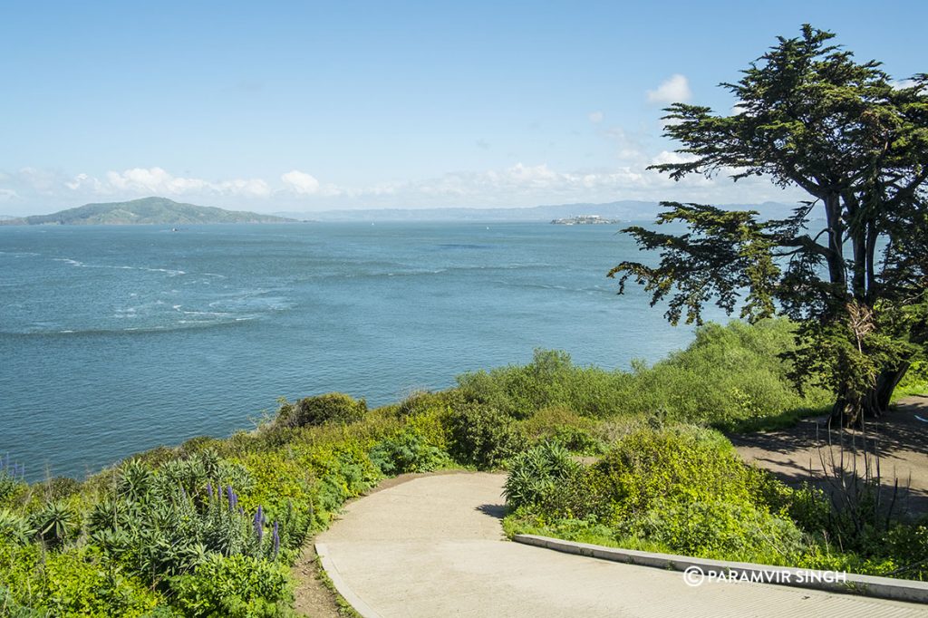 Golden Gate Bridge Park, San Francisco.