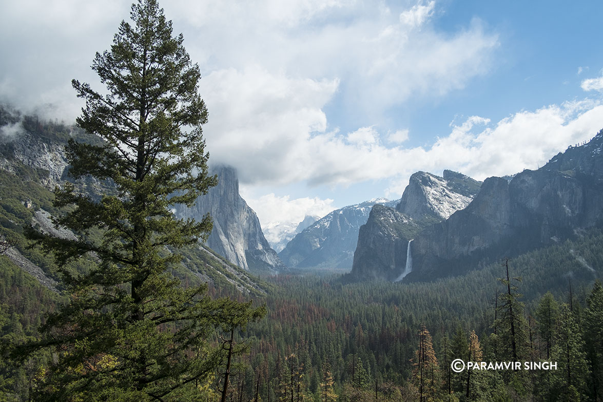 Yosemite National Park