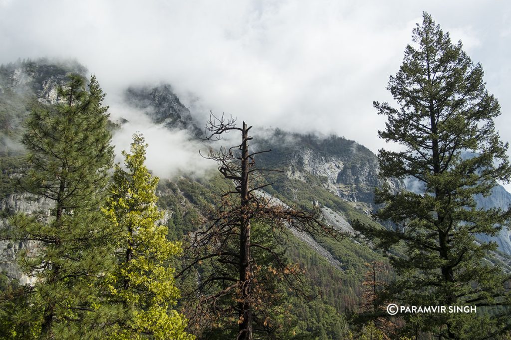 Clouds in Yosemite National Park