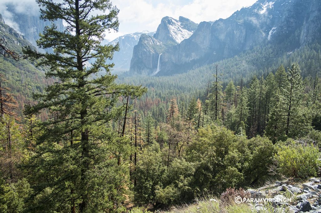 Yosemite National Park