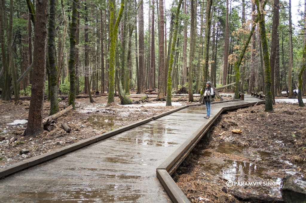 Walking to Bridal veil Falls, Yosemite National Park