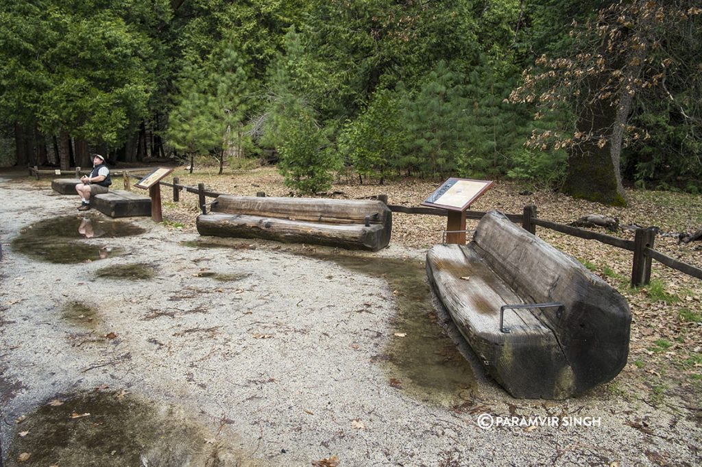 Log benches, Yosemite National Park