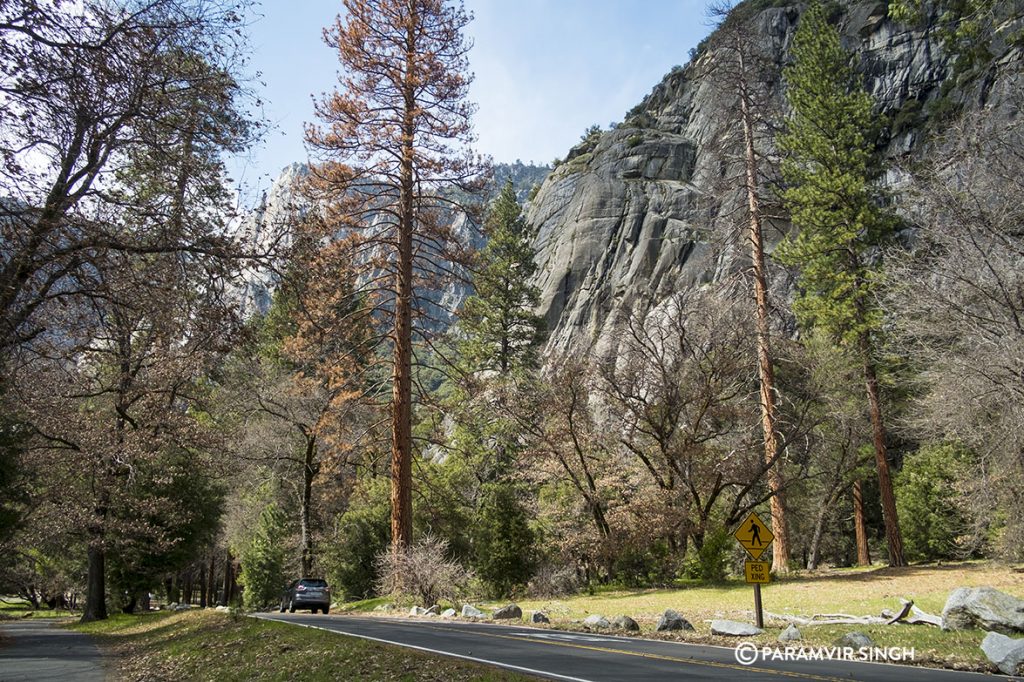 Yosemite Valley.