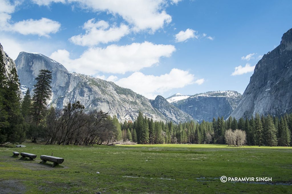 Yosemite valley Meadow.