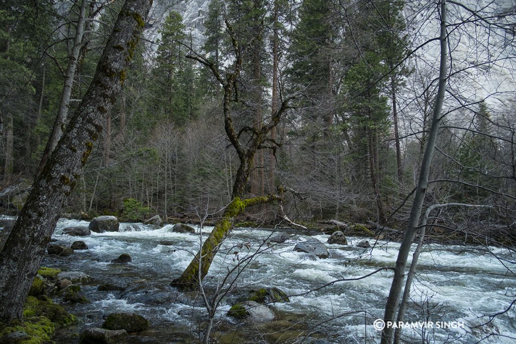 Merced River in dusk, Yosemite National Park