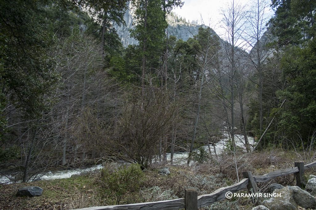 Merced River, Yosemite National Park