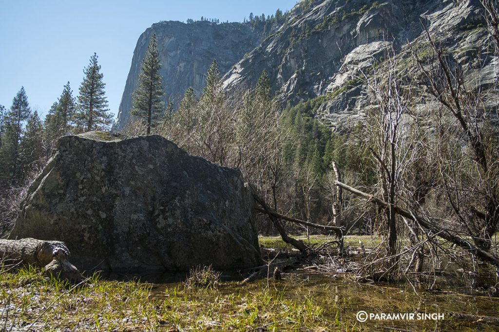 Landscape at Mirror Lake, Yosemite